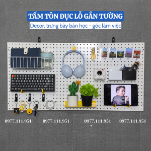 Tấm tôn đục lỗ 1mx50